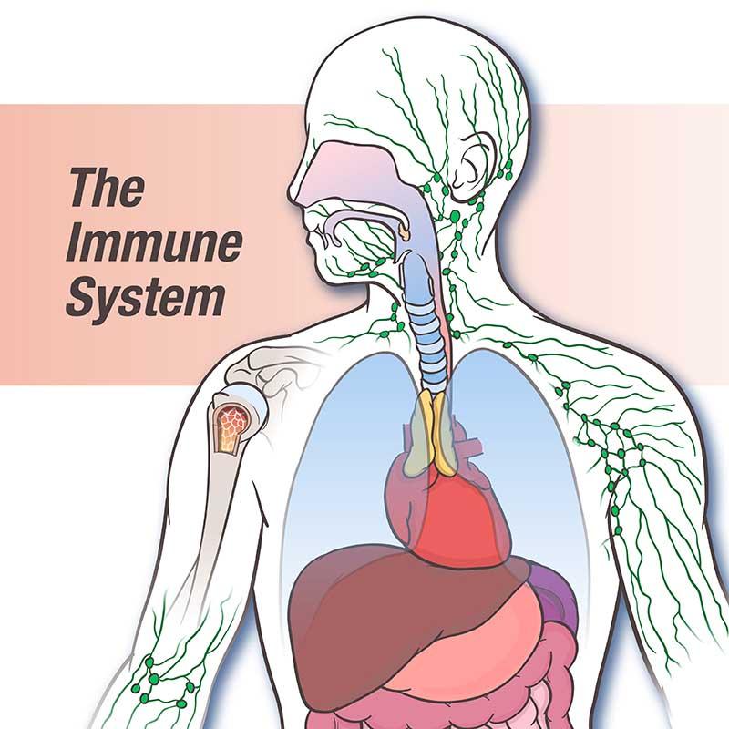Immune System Need An Overhaul?